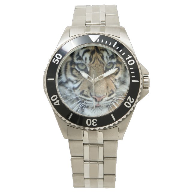 Tiger Watch (Front)
