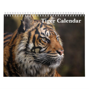Tiger Wild Animal 2026 Calendar