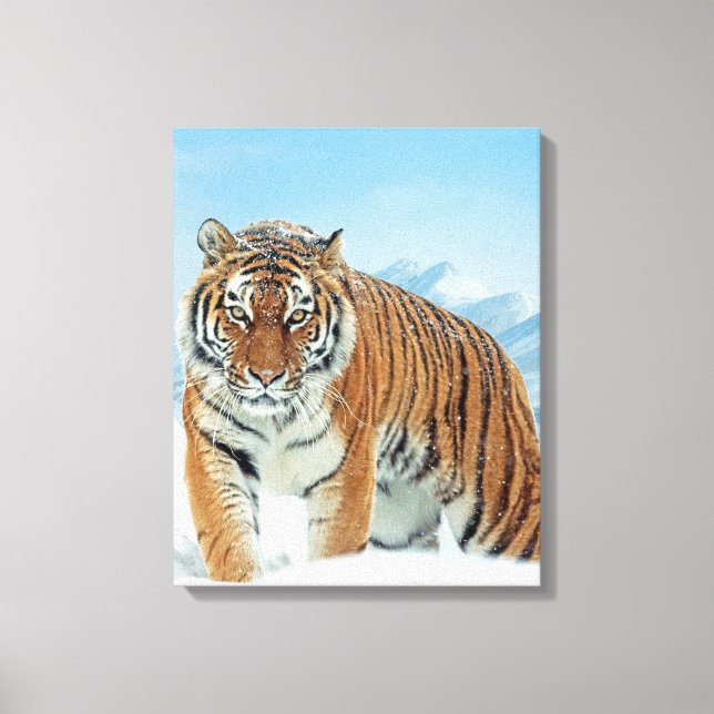 Tiger Winter Snow Mountains Nature Photo Canvas (Front)