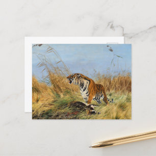 Tiger with killed Waterbuck by Richard Friese Postcard