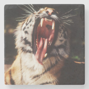 Tiger with mouth open stone coaster