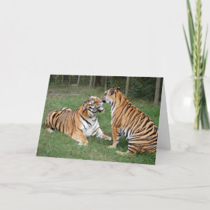 TigerFriends 007 Card