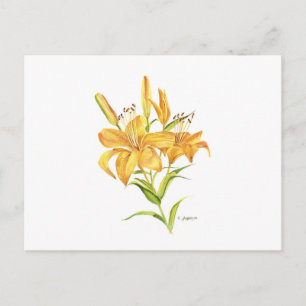 Tigerlily yellow orange watercolor botanical  postcard