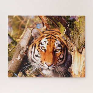 Tigers Big Cats. Jigsaw Puzzle
