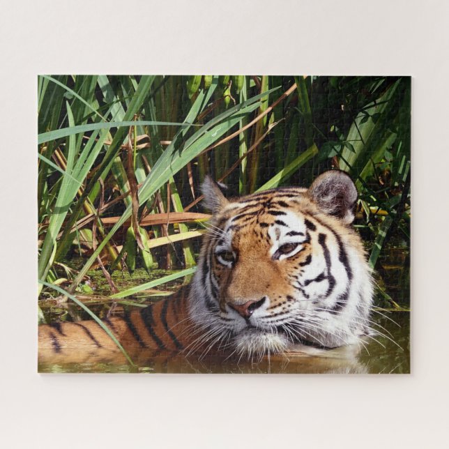 Tigers Big Cats. Jigsaw Puzzle (Horizontal)