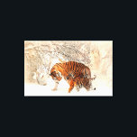 Tigers Canvas Print<br><div class="desc">Tigers during winter Zazzle's gloss canvas is made from an additive-free cotton-poly blend and features a special ink-receptive coating that protects the printed surface from cracking when stretched. Made with a tight weave ideal for any photography or fine art, our instant-dry gloss canvas produces prints that are fade-resistant for 75...</div>