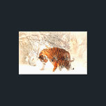 Tigers Canvas Print<br><div class="desc">Tigers during winter Zazzle's gloss canvas is made from an additive-free cotton-poly blend and features a special ink-receptive coating that protects the printed surface from cracking when stretched. Made with a tight weave ideal for any photography or fine art, our instant-dry gloss canvas produces prints that are fade-resistant for 75...</div>