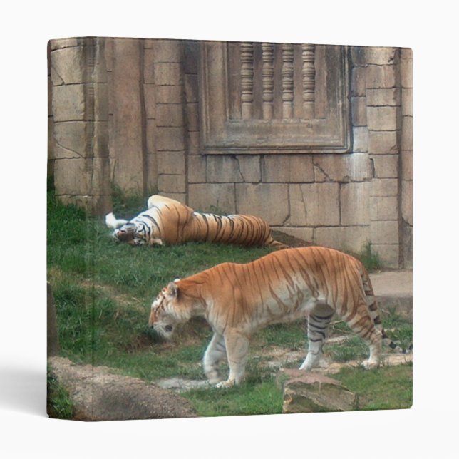Tiger's Den Binder (Front/Spine)