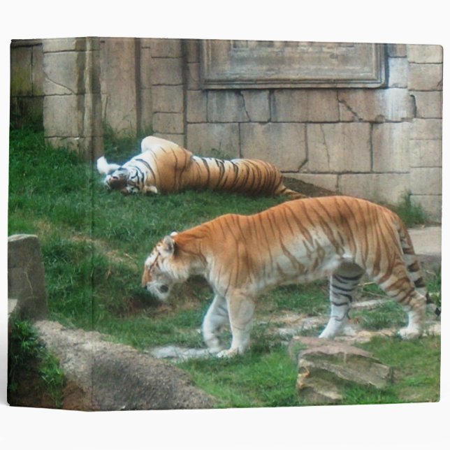 Tiger's Den Binder (Front/Spine)