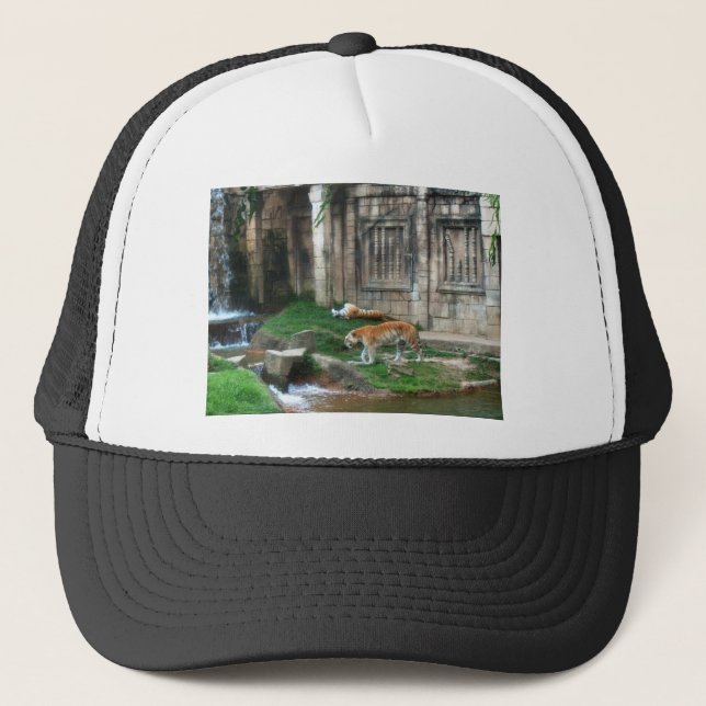 Tiger's Den Trucker Hat (Front)