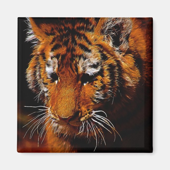 Tigers eyes magnet (Front)