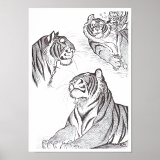 Tigers in black poster