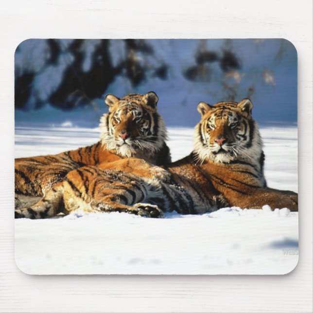 tigers in snow mouse pad (Front)