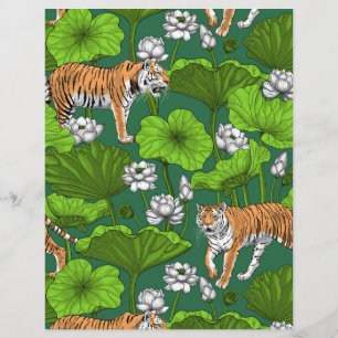 Tigers in the white lotus pond