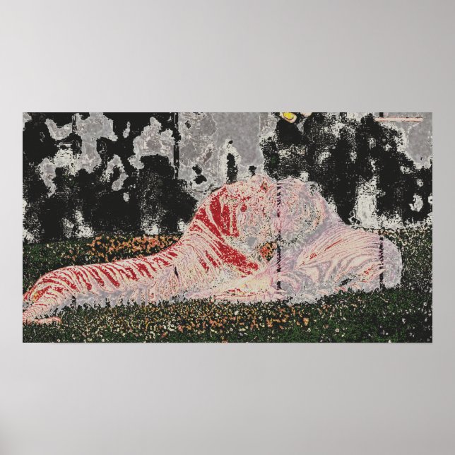 tigers lying in field poster (Front)