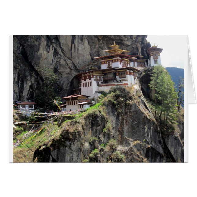 tiger's nest (Front Horizontal)