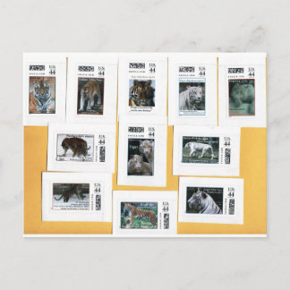 Tigers of all 4 colours postcard