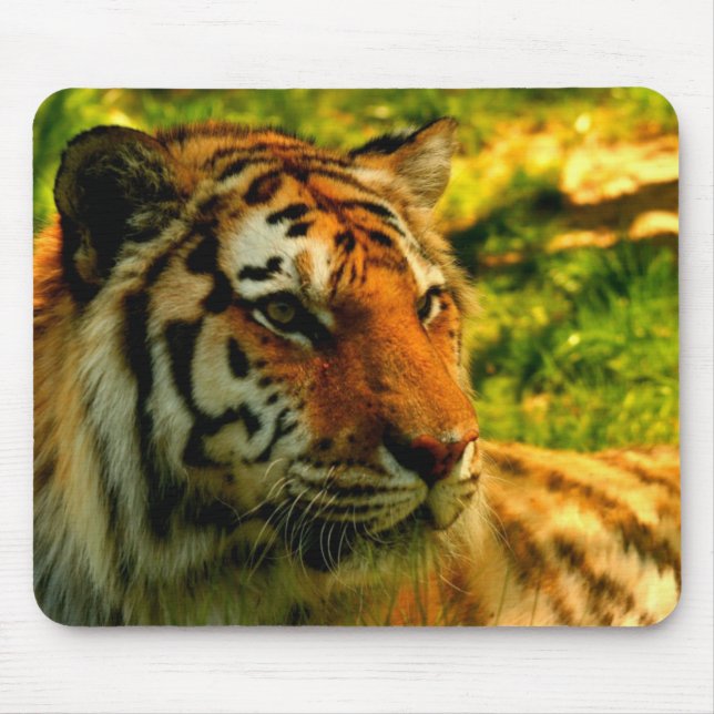 Tigers pad mouse pad (Front)