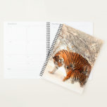 Tigers Planner<br><div class="desc">Mama and Cub Tiger
It's time to get organized! Plan your days in style with the help of a customizable planner. Perfect for your busy lifestyle,  this planner has a place to plan your months,  plan your weeks,  and write down everything that's important to you!</div>