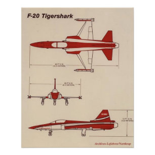tigershark f20 poster