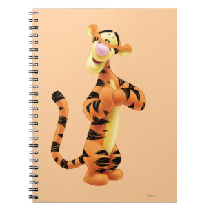 Tigger 1 notebook
