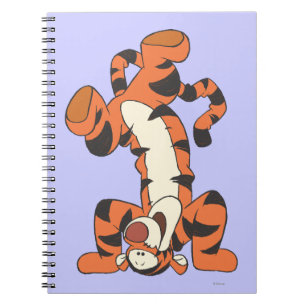 Tigger 4 notebook