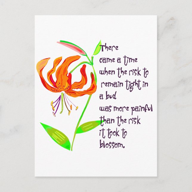 Tight in a Bud Postcard (Front)