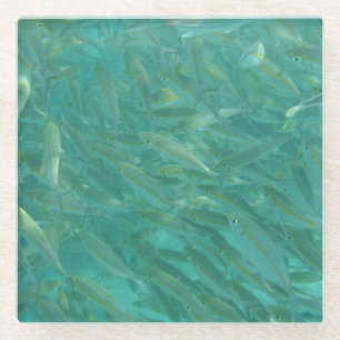 Tight Shoal of Fish Glass Coaster