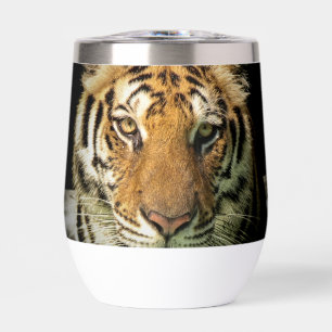 tigre