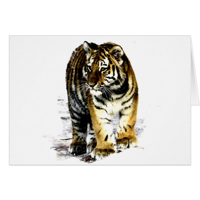 Tigre (Devant horizontal)