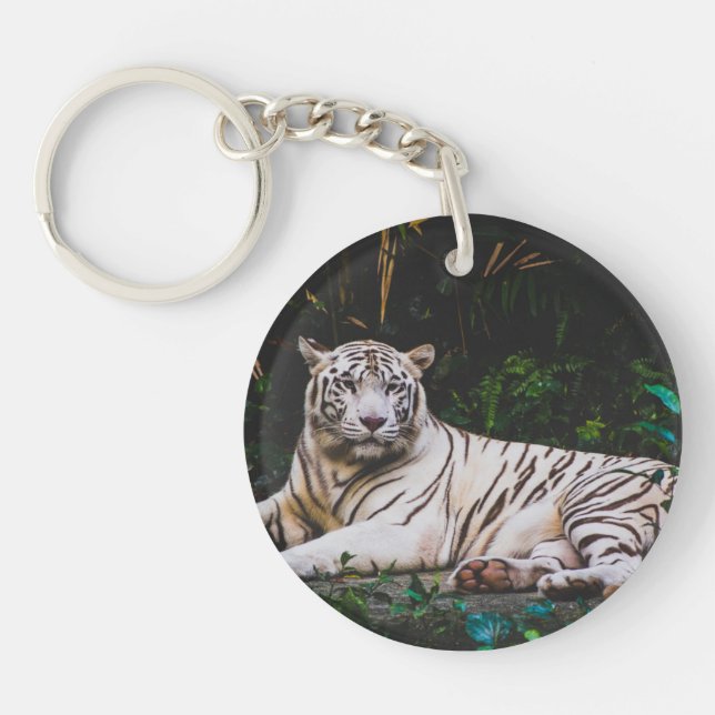 Tigre (Devant)