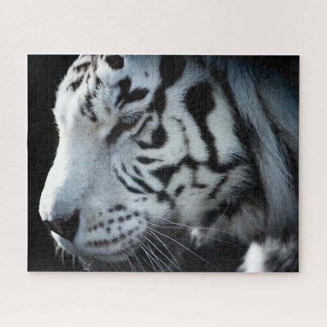 Tigre blanc, puzzle (Horizontal)