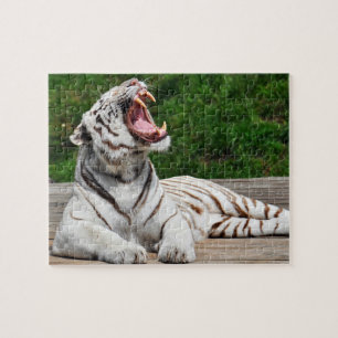 Tigre Blanc, Puzzle Tigre du Bengale