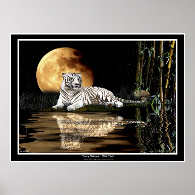 TIGRE BLANC RARE & LUNE Art Imprimés & Affiches (Devant)