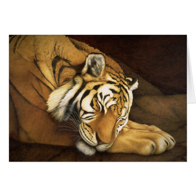 tigre de sommeil (Devant horizontal)