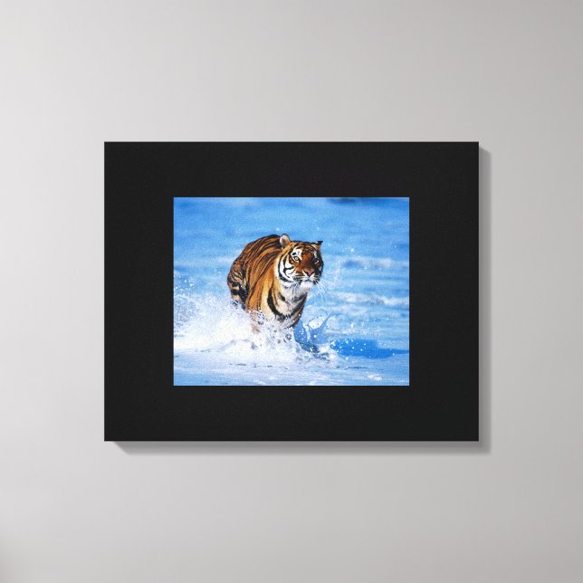 Tigre en toile (Recto)