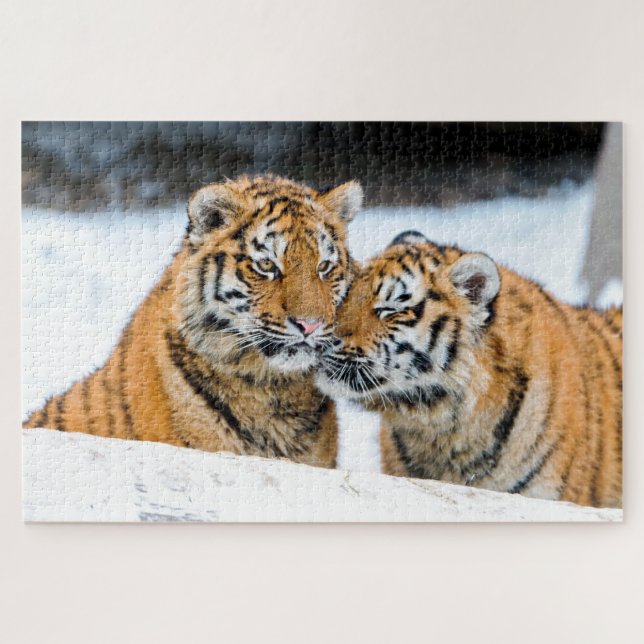 Tigre en train de se défoncer Cubs, puzzle (Horizontal)