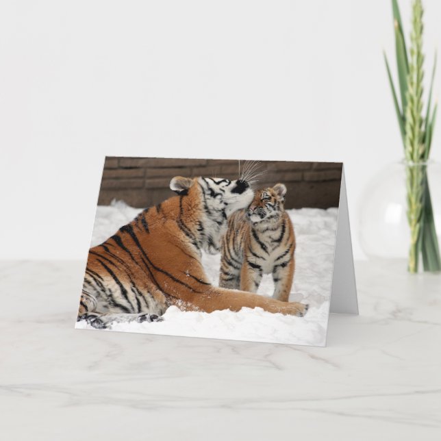 Tigre et carte de jour de mères de CUB (Devant)
