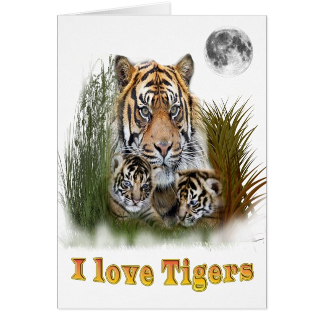 Tigre et petits (Devant)