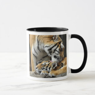Tigre et tasse de CUB