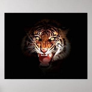 Tigre grinçant motivant dans l'ombre Poster Imprim