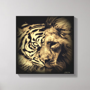 Tigre Lion 2in1 Impression