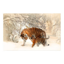 tigre petit et mère dans la neige poster