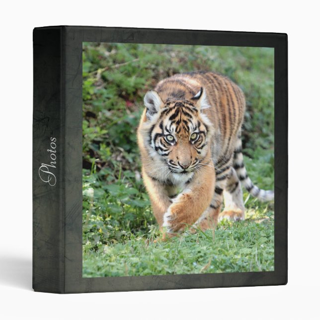 Tigre photo, animaux. classeur à 3 anneaux (Devant/Côté)
