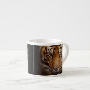 Tigre sauvage Visage Espresso Café Mug