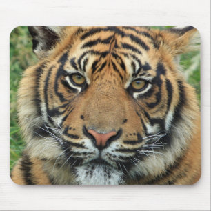 Tigre Tapis de souris