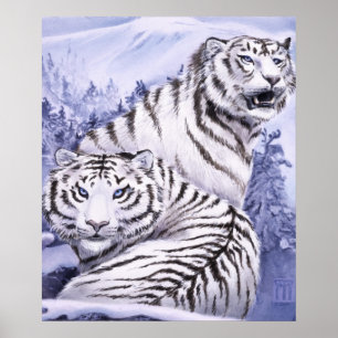 Tigres de glace impression
