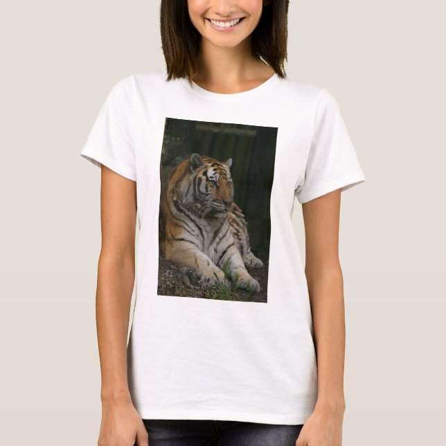 Tigress Sweatshirt T-Shirt (Front)
