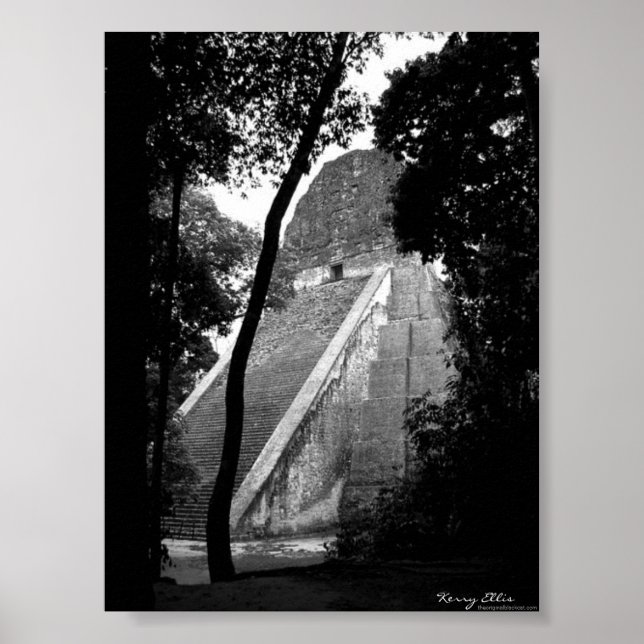 Tikal Poster (Front)