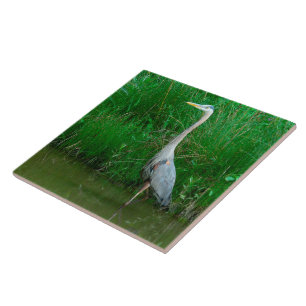TILE, "BLUE HERON STANDING IN POND" (PHOTOG.) TILE